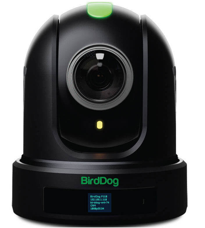 BirdDog P110 Full NDI PTZ Camera 10x Optical Zoom BDP110B