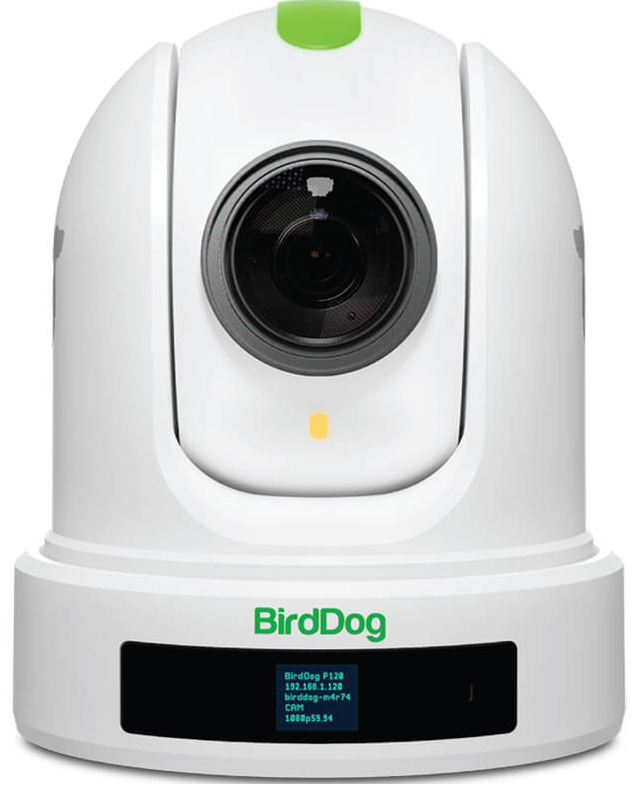 BirdDog P120 Full NDI PTZ Camera BDP120W