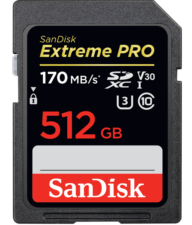SanDisk Professional G-DRIVE 12To