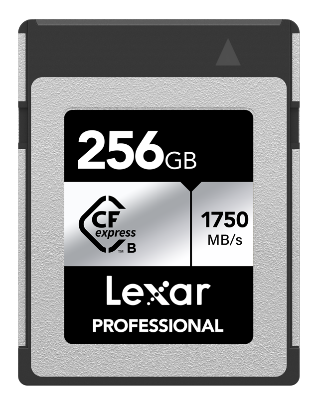 Lexar Professional CFexpress Type B SILVER Card 256GB